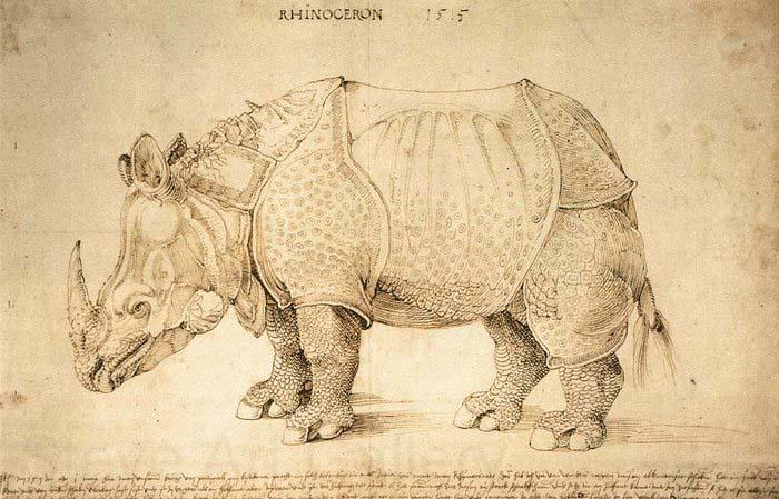 Albrecht Durer Rhinoceros Germany oil painting art